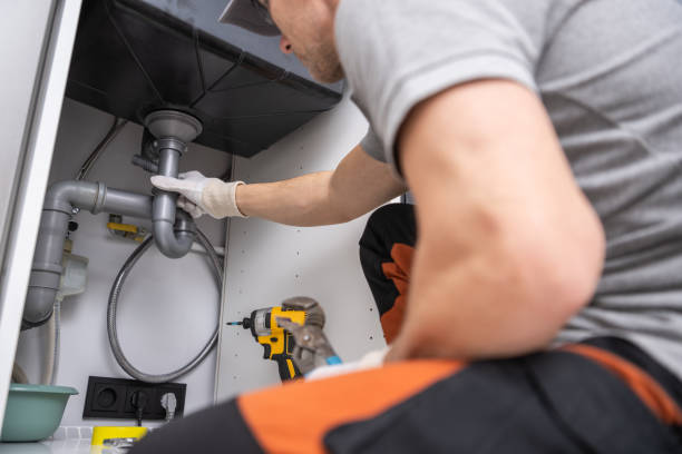 Best Residential Plumbing Services  in Ives Estates, FL